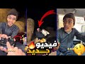 سنابات ضاري الفلاح مايي يجلس معنا من الحشرات