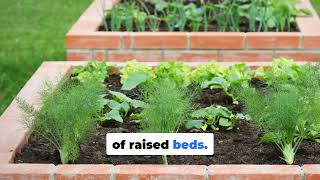 DIY Raised Beds That Pay for Themselves 🌱💰 | Build Once, Harvest for Years