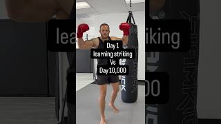 We all gotta start somewhere Day 1 vs Day 10,000 learning striking