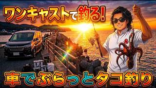 『タコ釣り』タコの様子見。ノーカット