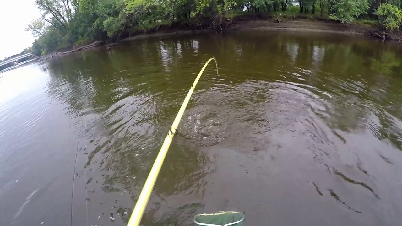 Mississippi River Fishing Report - YouTube
