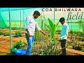 COA Bhilwara Others(1) COA Bhilwara Others(1)