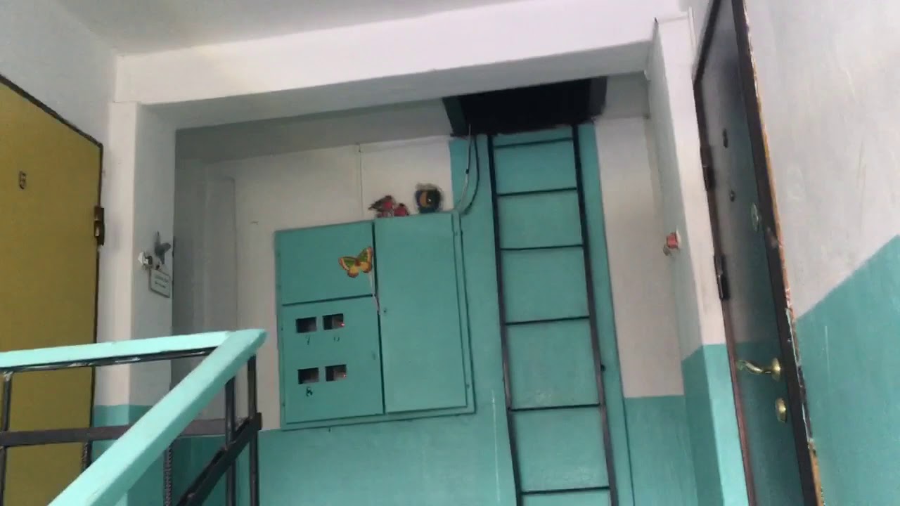 цифры в зеленых кружках. цифры на этажах в подъезде. записи пользователя dazukka. 1. под 8.