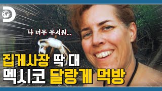 어디 보자... 내가 너를 찔렀었나? 가을철 달랑게 먹방 남녀🦀 [생존시그널]