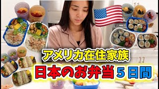 【日本のお弁当】アメリカ在住３児ママが日本のお弁当作ってみた！国際結婚｜海外子育て