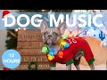 XMAS MUSIC FOR DOGS! Feliz Navidad Relaxing Song for Dogs!
