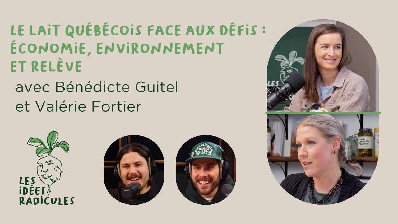 Produire du lait au Québec : défis, fromages et avenir