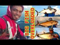 BIG FISH OVERLOADED | Jigging in Sibuyan island, Romblon