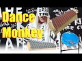 Dance Monkey | Melody on Orff Instruments and Jumbie Jam