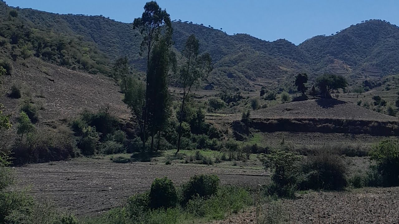 #ድሬ ሮቃ ዝናብጣለ ደስይለል#