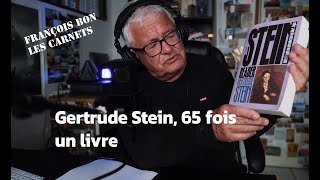 20240513  Gertrude Stein 65 Fois Un Livre