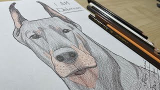 Как нарисовать собаку ДОБЕРМАНА поэтапно / Doberman Dog easy drawing