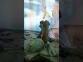 I turned my bedroom wall into a REAL Dinosaur World! 🦖✨#ProjectionMapping #HomeCinema #vfx