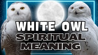 Why Seeing a White Owl Can Change Your Life: Spiritual Meaning and Symbolism Explained