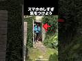 スマホのしすぎには気をつけよう