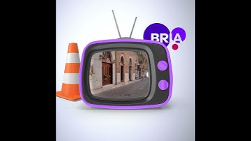 Now anyone can make videos from a still image | Create images and video at scale with Bria