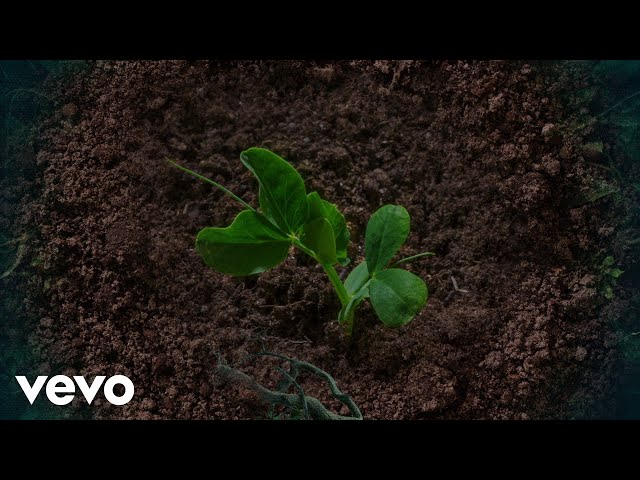 Sheryl Crow - Digging In The Dirt feat. Peter Gabriel