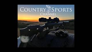 Long Range Predators with the .223