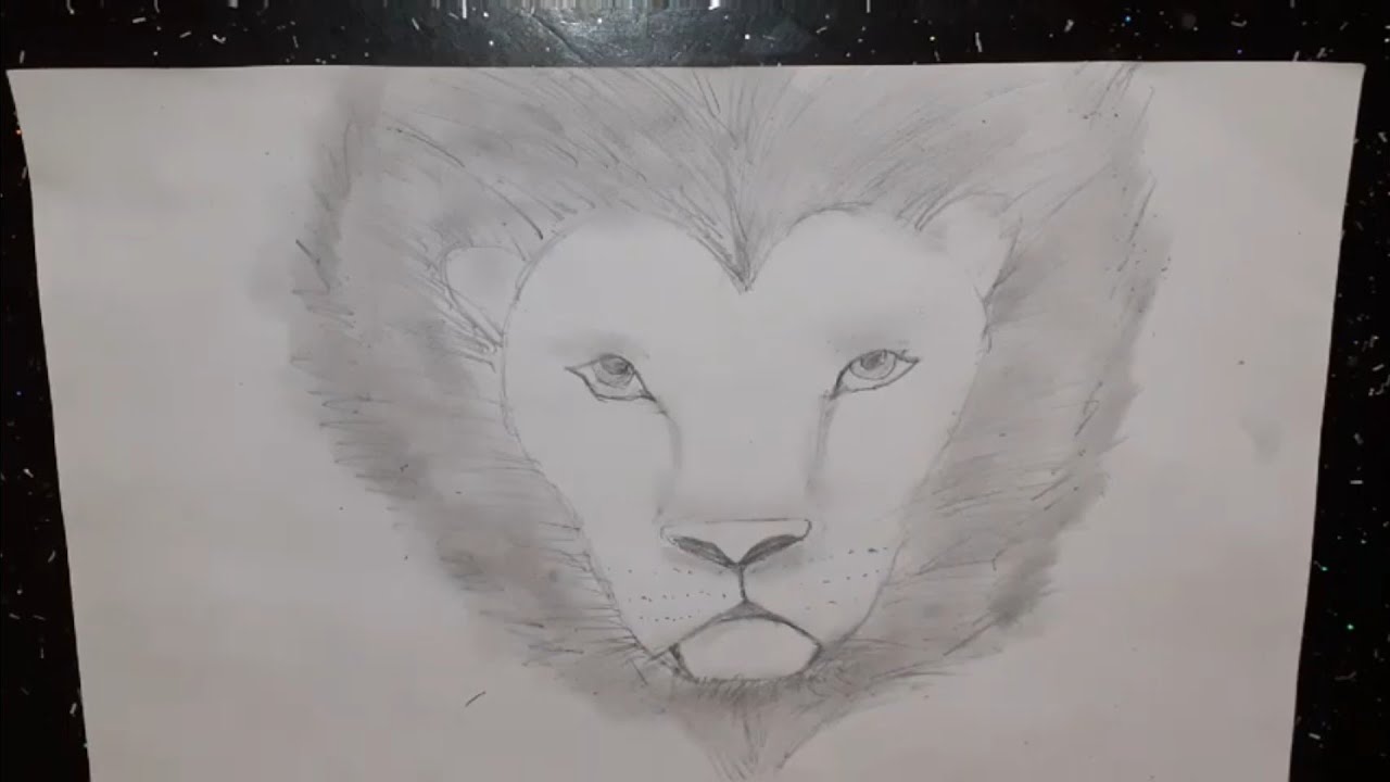 تعلم رسم وجه اسد تحميل download mp4 - mp3