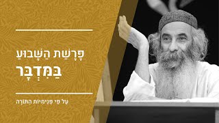 פרשת במדבר | מפי הרב יעקב יוסף כהן | פנימיות התורה, קבלה וחסידות