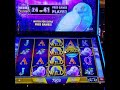 $15 Bet Jackpot Handpay on Fortune Owl Slot Machine