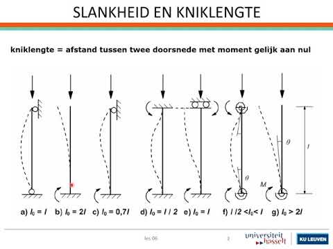 Video: Wetenschappers Hebben Slankheid In Verband Gebracht Met Inkomen