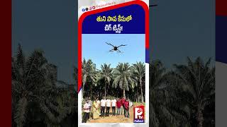 తుని పాప కేసులో బిగ్ ట్విస్ట్! | Big Twist In Kakinada Jahnavi Missing Case | Pallavi TV