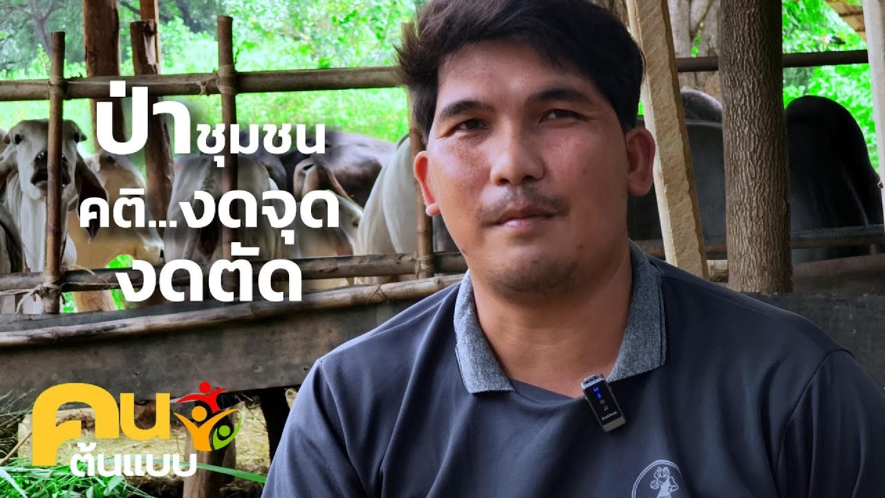 จากอาสากู้ภัย สู่อาสาพิทักษ์ป่า “หนุ่ย” อนันต์ สุขสุเมฆ คนรุ่นใหม่ลำภูทอง เฝ้าผืนป่าบ้านเกิด