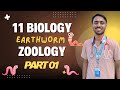 Earthworm Part 1 | External Features &amp; Morphology | Class 11 Biology NEB