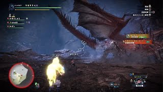 ムフェトジーヴァ討伐20220803