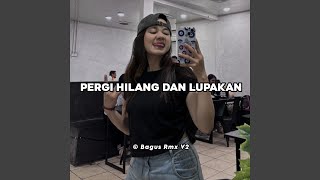 Download Lagu Pergi Hilang Dan Lupakan