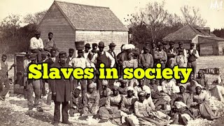 Unveiling the Legacy of [Slavery]//The Untold Stories of Slaves.