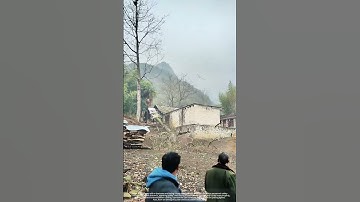 Chainsaw Tree Felling Guided By Rope