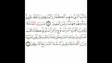 سورة التحريم 5 القسم الخامس تكرار كيفي من .. يا أيها النبي .. إلى .. وقيل ادخلا النار مع الداخلين