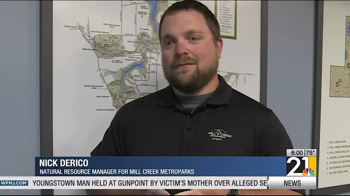 Deer hunt plans for Mill Creek Metroparks