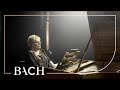 Bach - WTC II Prelude and fugue no. 5 in D major BWV 874 - Schornsheim | Netherlands Bach Society