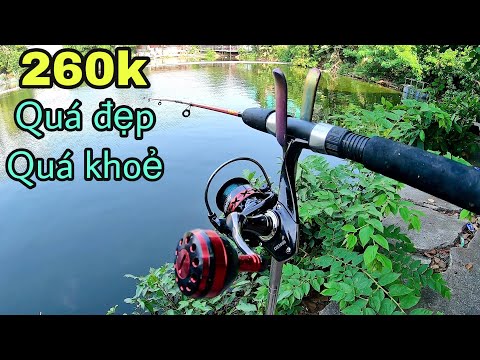 Video Đem máy câu cá 260K Tay quay độ, cối kim loại ✅ Thử... - youtube