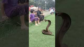 funny snake VFX #youtube #shorts