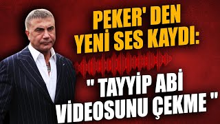 Sedat Peker yine şok ses kaydı ile gündemde !