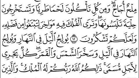 ‫القارئ نايف السالم  سورة فاطر آية 1-30 / تراويح رمضان 1433