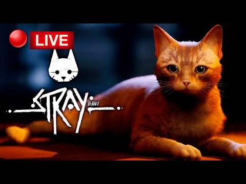 STRAY (O Jogo do Gato) - Teste no Xbox Series S 