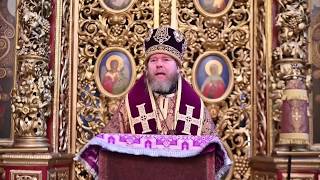 Проповедь митрополита Тихона Шевкунова к прихожанам Пскова и не только в дни карантина #шевкунов,
