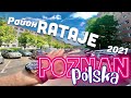 Кайф! Познань район RATAJE 2021-лето. Украинец увлечён увиденным! Люди массово отдыхают в тени!!