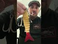 Lure Review on the Brand New Shads Lures 6 Inch Jointed Boney Swim bait fishing lure Pre rigged PT1