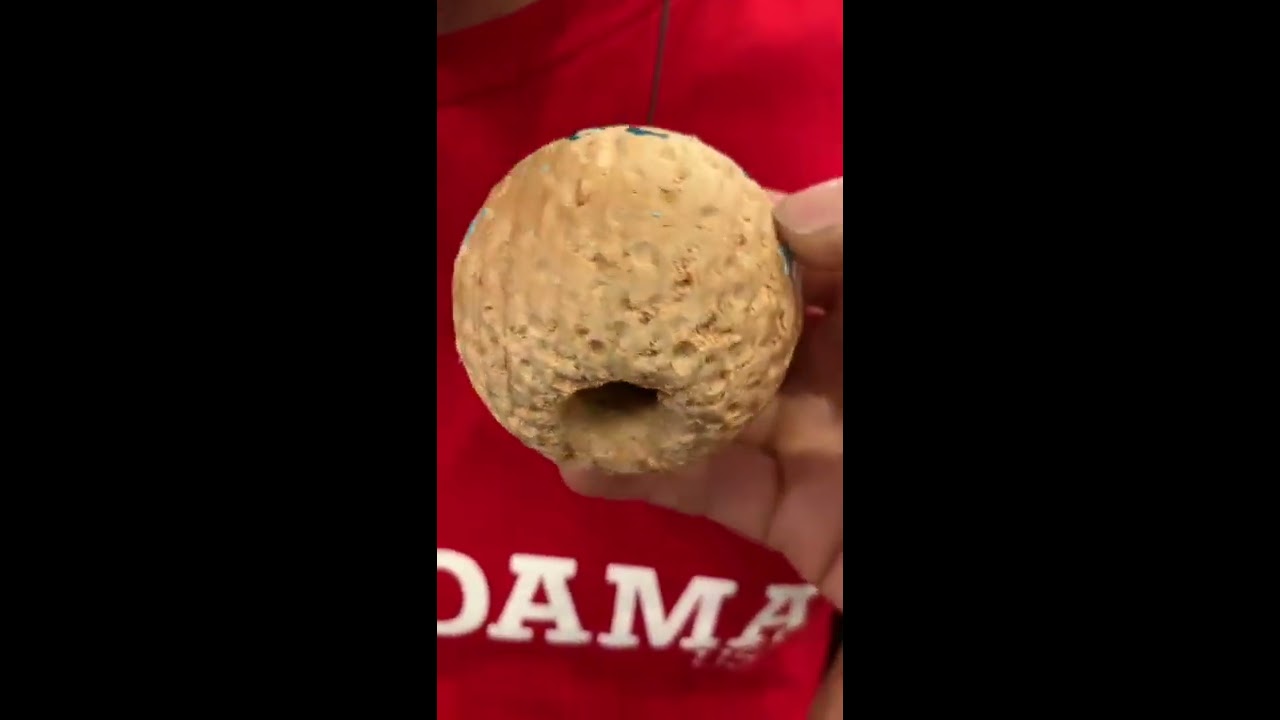 Yank Spike Champ 2019 - Josh Kim - Kendama USA