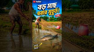 BIG Fish Catch in Village Pond 😱 | Traditional Net Fishing