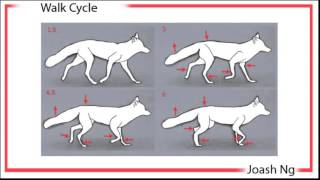 Fox Walk Cycle U0026 Deform Test