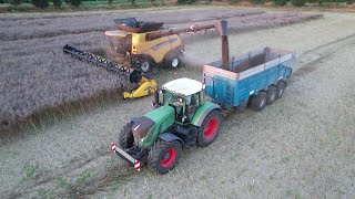 😍XL moisson de colza en Bretagne | CR10.90 | Fendt & Maupu 3 essieux 🇨🇵