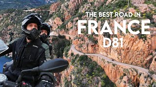 Is This The BEST Road in FRANCE?! D81 Corsica Is UNBELIEVABLE