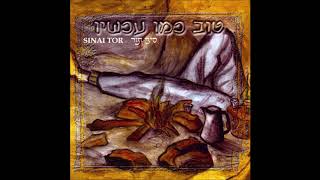 סיני תור - תן לנו לב